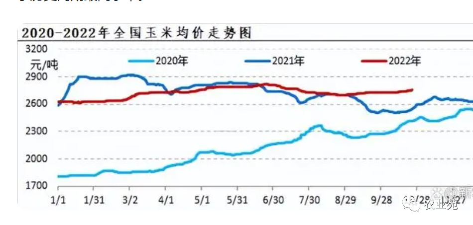 四平玉米喜讯连连，价格走势持续看涨！