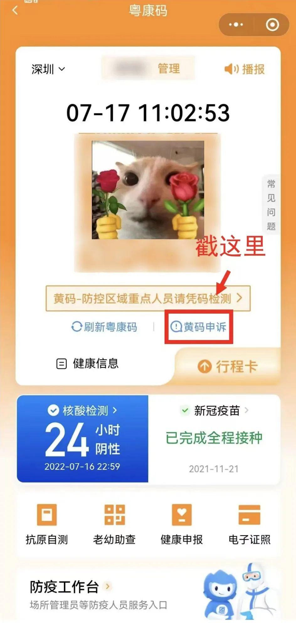 聚焦快读 第15页