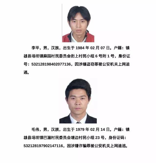 云南省最新发布！通缉在逃人员名单揭晓