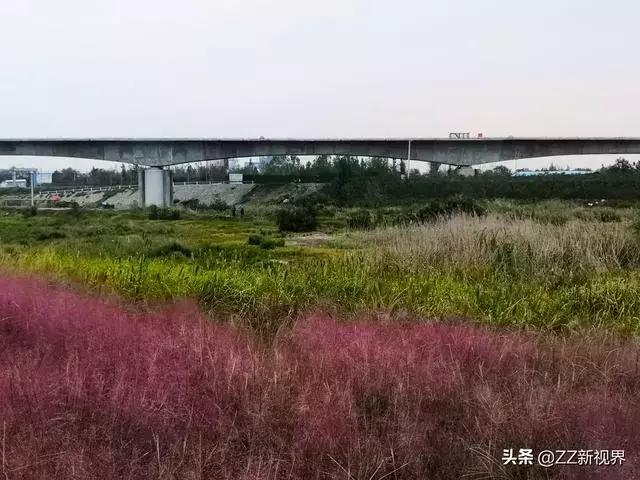 感叹爱情_1