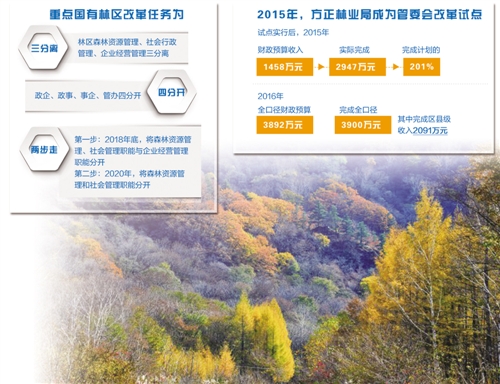 甘肃国有林场改革最新消息